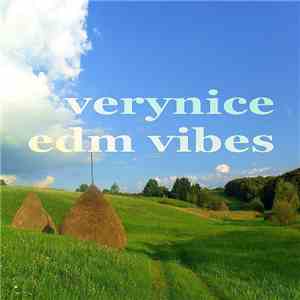 Various - Verynice EDM Vibes flac album