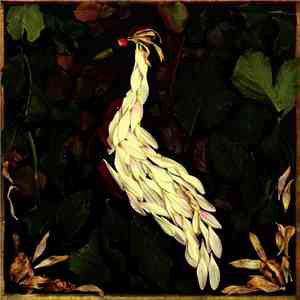 Audrey Assad - Fortunate Fall flac album