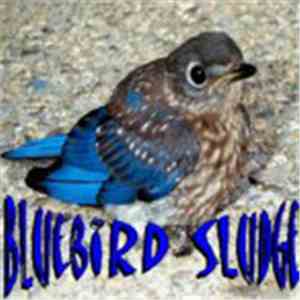Bluebird Sludge - Bluebird Sludge flac album