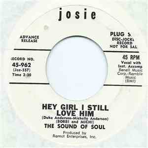 (Bobbi & Michi) The Sound Of Soul - Hey Girl I Still Love Him flac album