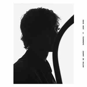 David West  - Cherry On Willow flac album