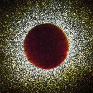 Insub Meta Orchestra - Archive #1 flac album