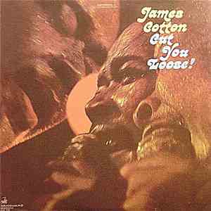 James Cotton - Cut You Loose! flac album