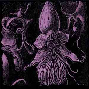 Nora Keyes - Unpolished Excerpts flac album