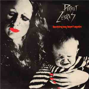 Perfect Zebras - Touching My Heart Again flac album