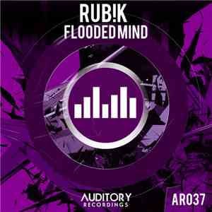 Rub!k - Flooded Mind flac album