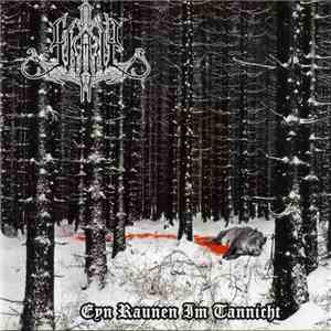 Skady - Eyn Raunen Im Tannicht flac album