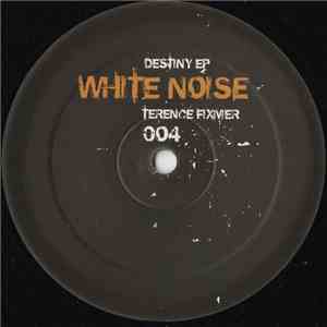 Terence Fixmer - Destiny EP flac album