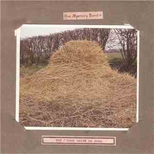 The Memory Band - Why / Come Write Me Down flac album