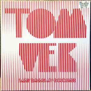 Tom Vek - I Aint Saying My Goodbyes flac album