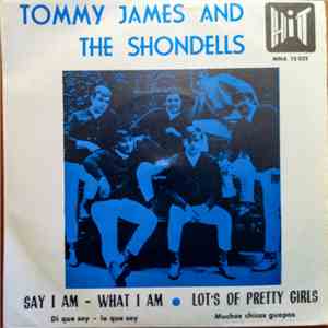 Tommy James & The Shondells - Say I Am / Lots Of Pretty Girls flac album