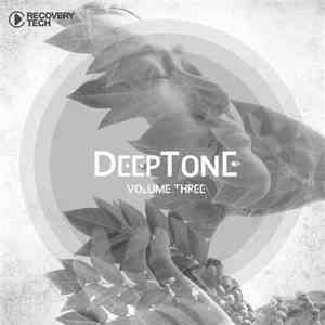 Various - DeepTone Volume Three flac album