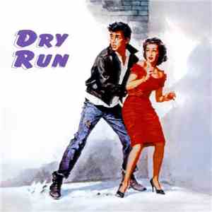 Various - Dry Run flac album