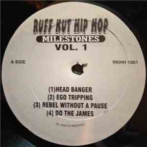 Various - Milestones Vol. 1 flac album