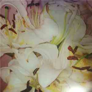 Waterhouse  - Empty Gallery EP flac album