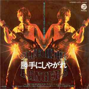 Blue Ridge Rangers - You Don't Owe Me flac album