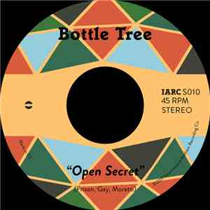 Bottle Tree - Open Secret flac album