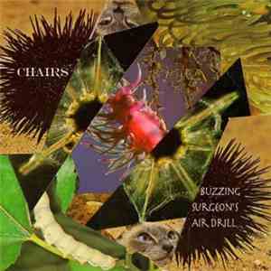 Chairs - Buzzing Surgeon's Air Drill flac album