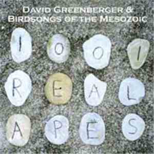 David Greenberger & Birdsongs Of The Mesozoic - 1001 Real Apes flac album