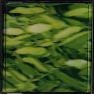 David Tagg - Established Trees flac album