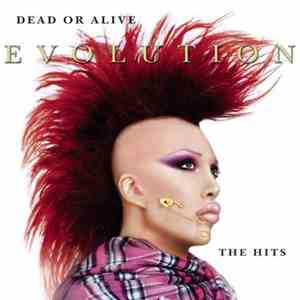 Dead Or Alive - Evolution - The Hits flac album