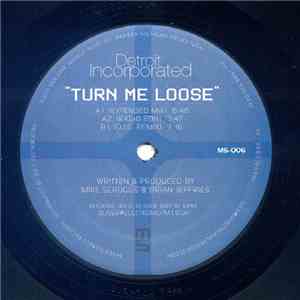 Detroit Incorporated - Turn Me Loose flac album
