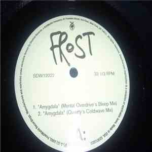 Frost - Amygdala flac album