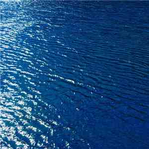 Gallery Six - Turn Into Blue flac album