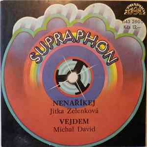 Jitka Zelenková / Michal David - Nenaříkej / Vejdem flac album