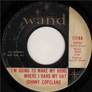 Johnny Copeland - I'm Going To Make My Home Where I Hang My Hat flac album