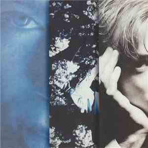 Momus - Create 1 – Procreate flac album