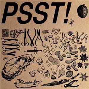 Pride & Ego Down, Spooky Action Space Captain, SRVVLST, Tir Asleen - PSST! flac album