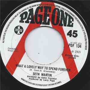 Seth Martin  - What A Lovely Way To Spend Forever flac album