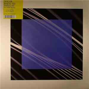 Skream Feat. Sam Frank - Where You Should Be flac album