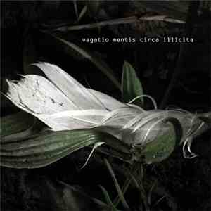Stefan Schmidt  - Vagatio Mentis Circa Illicita flac album