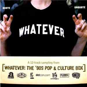 Various - A 12-Track Sampling From Whatever: The '90s Pop & Culture Box flac album