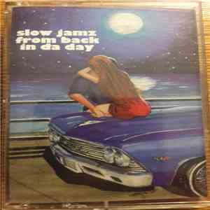 Various - Slow Jamz From Back In Da Day flac album