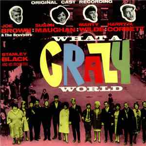 Various - What A Crazy World flac album