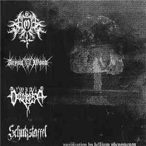 Via Dolorosa / Ordnung / Aryan Wood / Schutzstaffel  - Purification By Hellium Phenomenon flac album